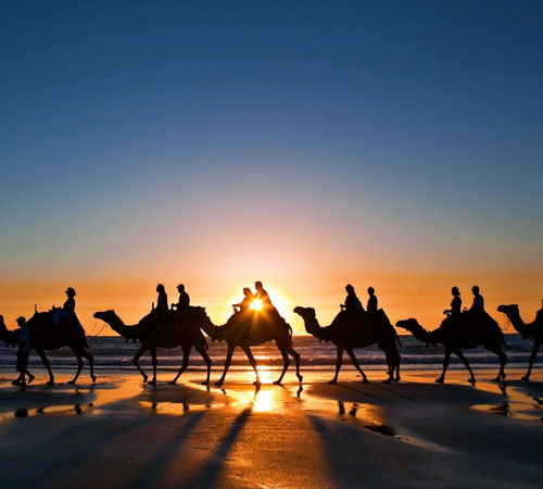 Glory Of Rajasthan